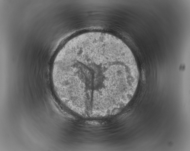 X0000112930588200910051133
