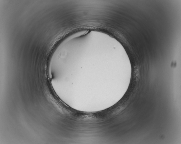 X0000112930589200910051133