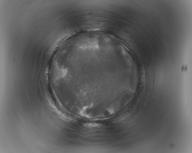 X0000112930590200910051133