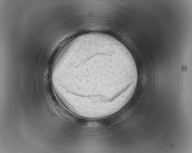 X0000112930591200910051133