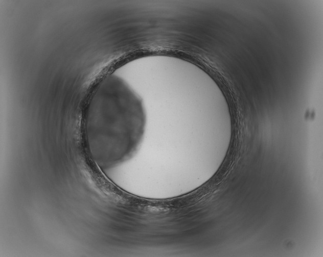 X0000112930592200910051133
