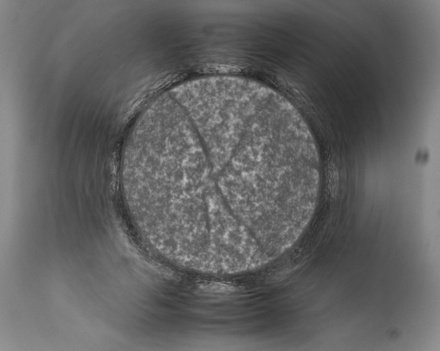 X0000112930594200910051133
