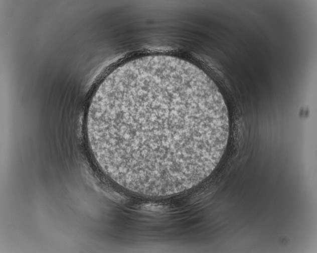 X0000112930596200910051133
