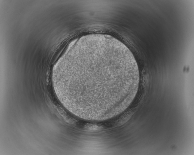 X0000112930597200910051133