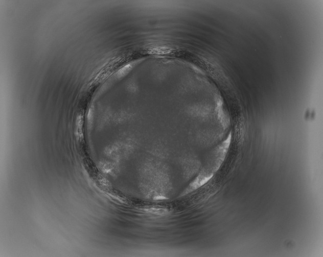 X0000112930598200910051133