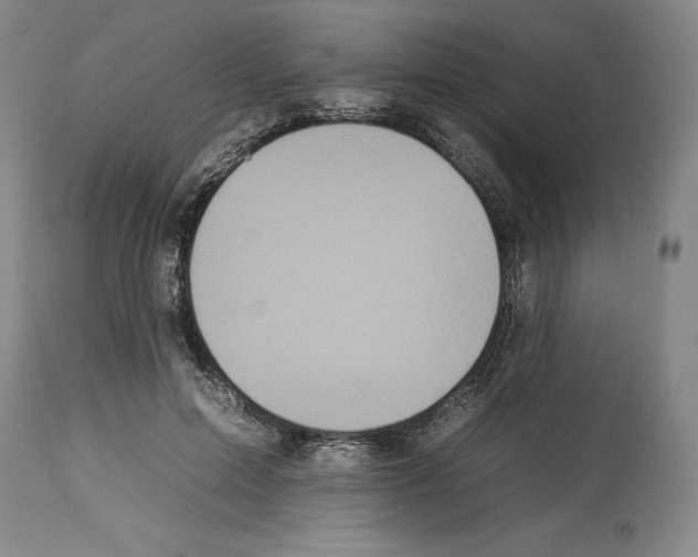 X0000112930599200910051133