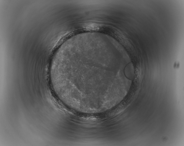 X0000112930600200910051133