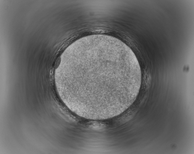X0000112930601200910051133