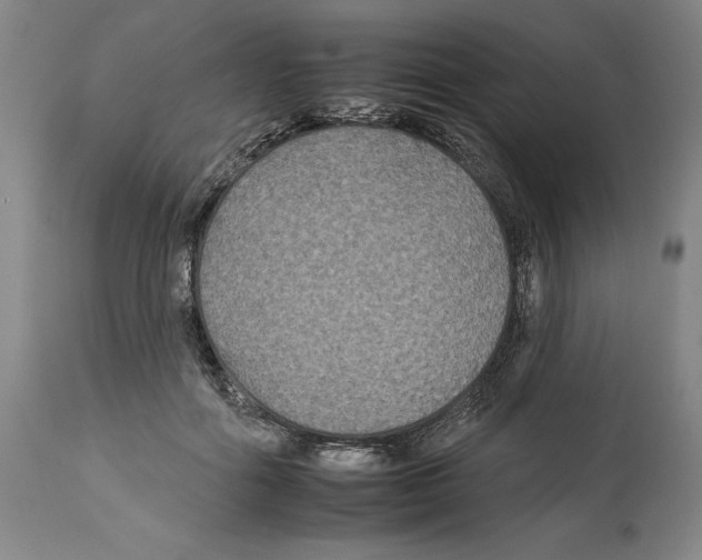 X0000112930602200910051133