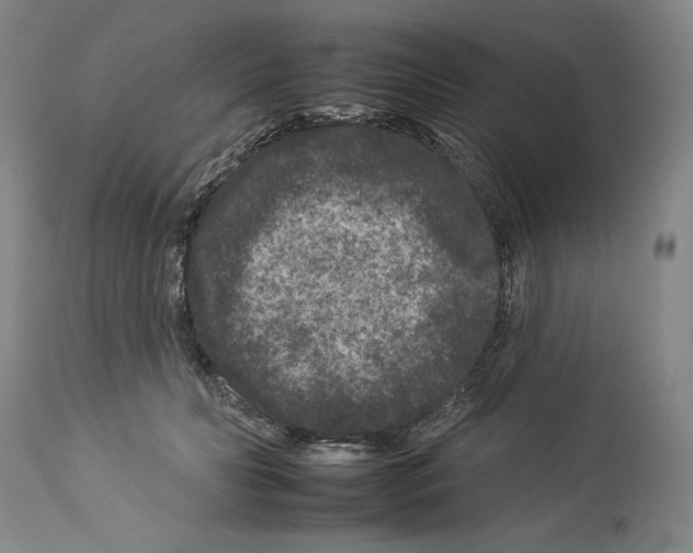 X0000112930606200910051133