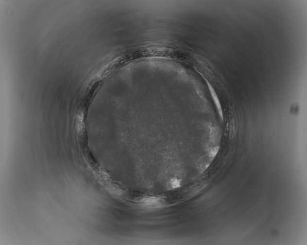 X0000112930610200910051133