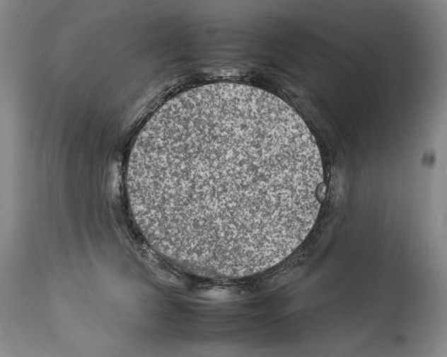 X0000112930612200910051133