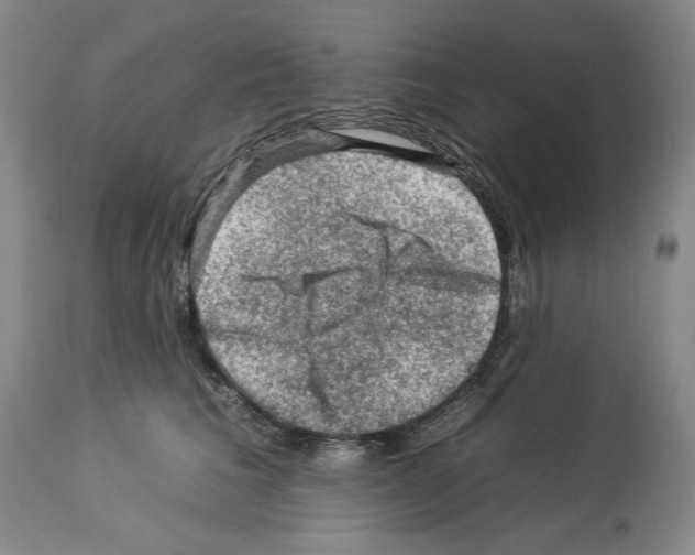 X0000112930613200910051133