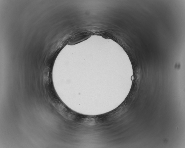X0000112930615200910051133