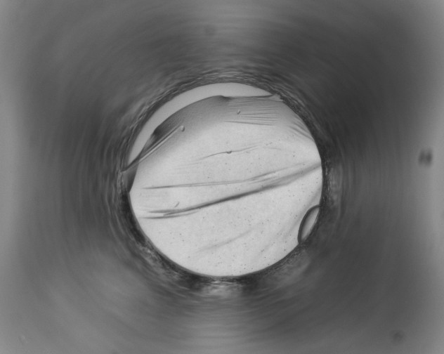 X0000112930617200910051133