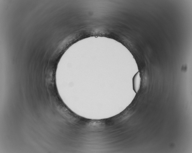 X0000112930619200910051133
