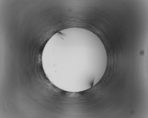 X0000112930621200910051133