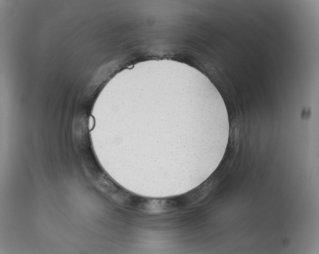 X0000112930623200910051133