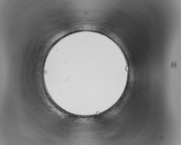 X0000112930625200910051132