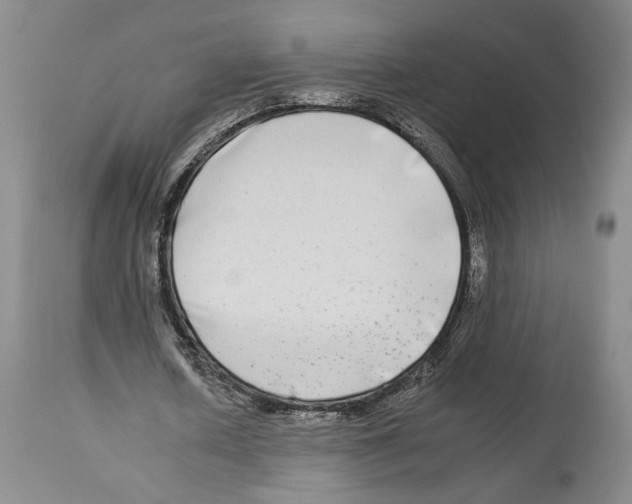 X0000112930626200910051132