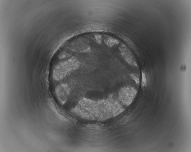 X0000112930627200910051132