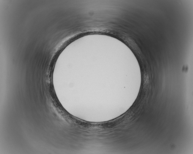 X0000112930628200910051132