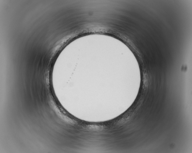 X0000112930629200910051132
