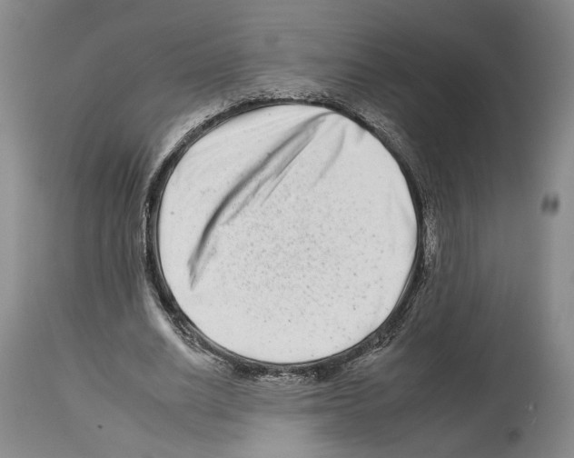X0000112930630200910051132
