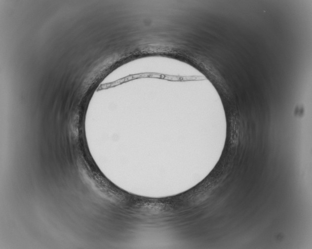 X0000112930631200910051132