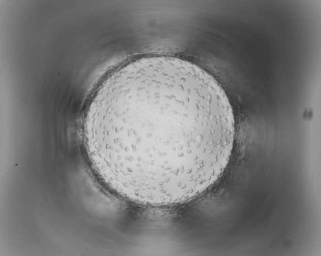 X0000112930632200910051132