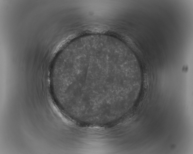 X0000112930634200910051132