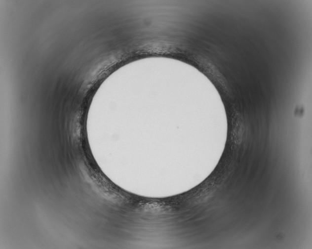 X0000112930635200910051132