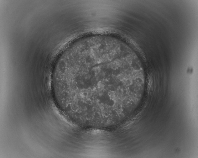 X0000112930637200910051132