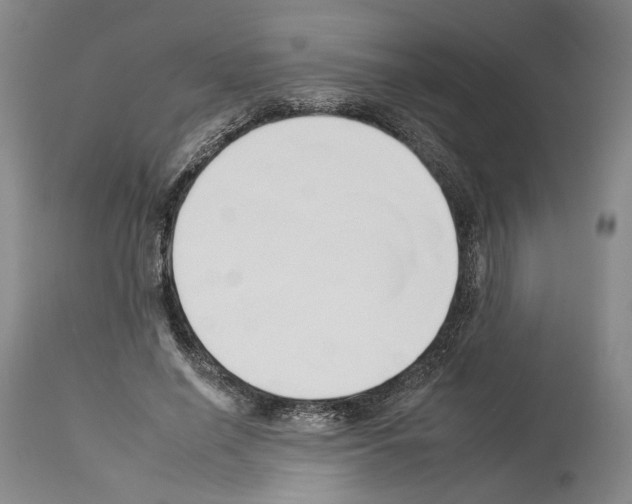 X0000112930638200910051132
