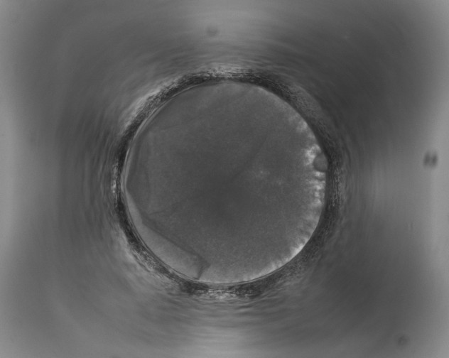 X0000112930640200910051132