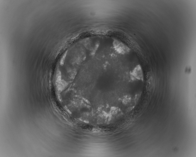 X0000112930641200910051132