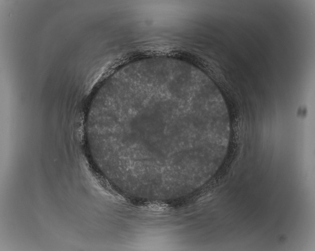 X0000112930642200910051132
