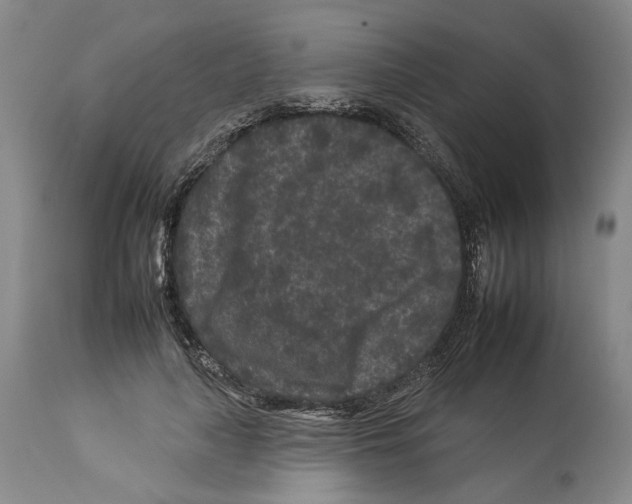 X0000112930643200910051132