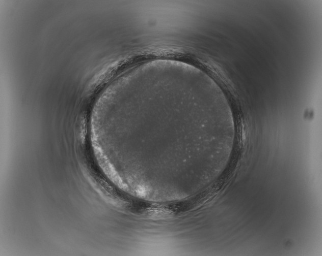 X0000112930644200910051132
