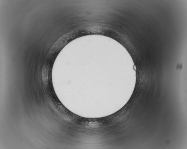 X0000112930645200910051132