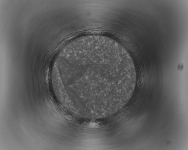 X0000112930647200910051132