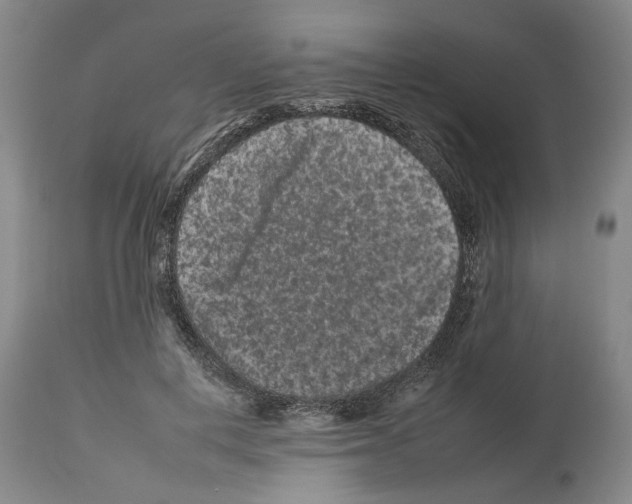 X0000112930648200910051132