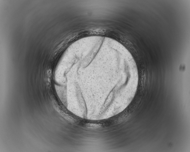 X0000112930649200910051132