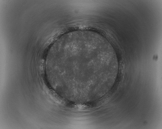 X0000112930650200910051132