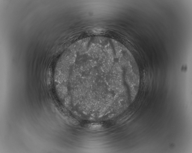 X0000112930651200910051132