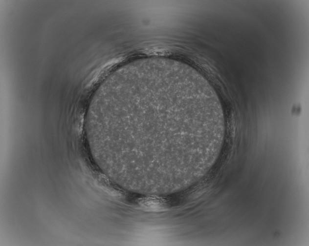 X0000112930652200910051132