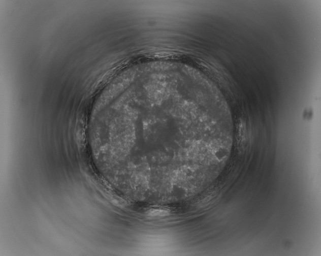 X0000112930653200910051132