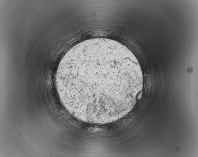 X0000112930655200910051132