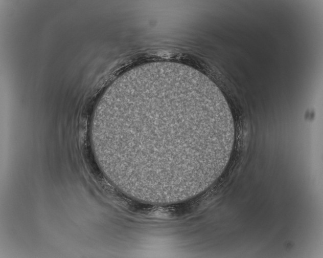X0000112930656200910051132