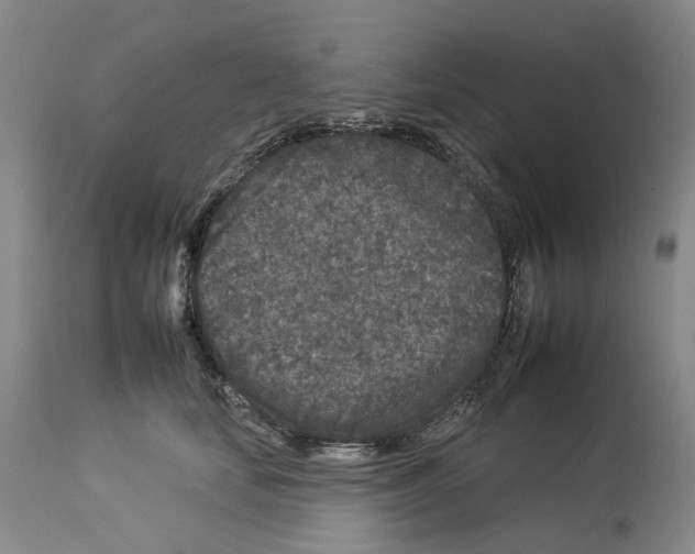 X0000112930659200910051133